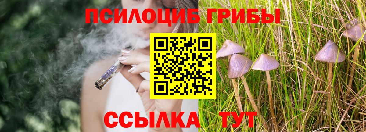 Тавда  Псилоцибиновые грибы Magic Shrooms  Вход с VPN 