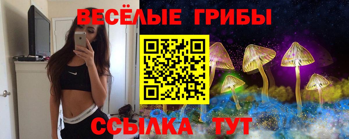 Галлюциногенные грибы ЛСД Тавда